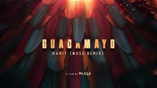 Danit - Guacamayo Mose Remix Film by PLAGA