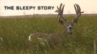 WORLD CLASS 266 MULE DEER - FOUR YEAR BOW HUNTING QUEST  THE SLEEPY STORY  Full two hour film