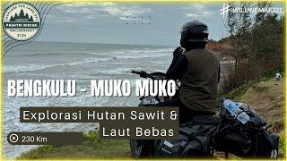 Pasutri Riding Jakarta - Sabang 0Km  Istri Sampe Mabok Dijalan -_-  Harmoni Hutan Sawit Part 3