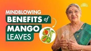 Benefits of mango leaves Health benefits of mango leaves Mango leaves for diabetes Mango leaves