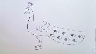 how to draw peacock drawing easy step by step@aaravdrawingcreative1112