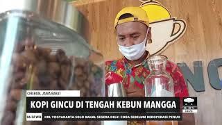 Kopi Gincu Di Tengah Kebun Mangga  REDAKSI PAGI 061020