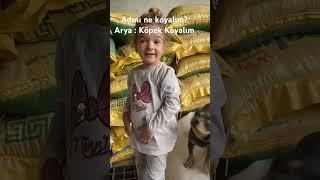 Köpeğin adını koyuyoruz kızlarımdan  güzel bir isim.