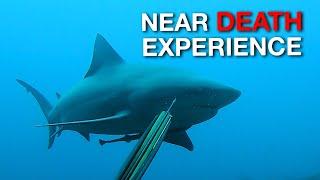 Near Death Experience - Bull Shark Attacks