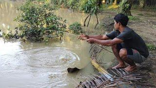 HAMPIR TIDAK PERCAYA.. BISA DAPAT IKAN BAUNG SEBESAR INI