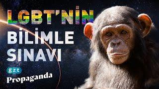 Do animals have homosexuality?