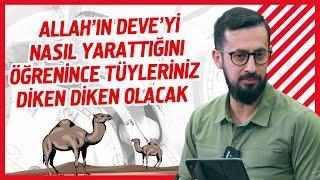 Allahın Deveyi Nasıl Yarattığını Öğrenince Tüyleriniz Diken Diken Olacak  Mehmet Yıldız