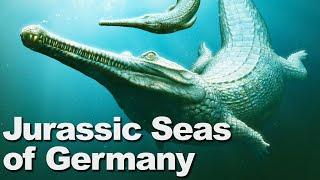 The Jurassic Seas of Germany  BoneHeads in Germany Part 1