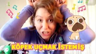 Köpek Uçmak İstemiş Çocuk Şarkısı  Anaokulu Şarkıları  Bebek Şarkıları  Children Songs