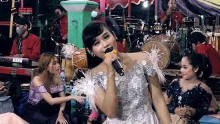 Pelas Teri - Reva Revo  Cover ARSEKA Music  ARS Jilid5  HVS Sragen  Live Celep