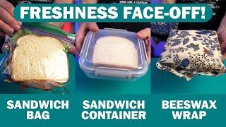 Sandwich Storage Showdown 1 Day & 7 Day Tests