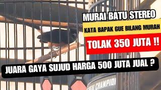 350 JUTA  KATA BAPAK GUE BILANG MURAH  MURAI BATU STEREO Juara GAYA SUJUD  HARGA 500 JUTA JUAL 