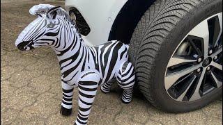 Only Inflatable Pop with Beach Ball Horse- Experiment car- crushing Chrunchy and soft things