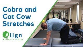 How to Stretch Lower Back — Cobra and Cat Cow Stretches