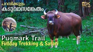 Pugmark Trail in Parambikulam Tiger reserve  Forest safari and Trekking