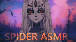 Spider ASMR for best sleep  SPOOKY month is here