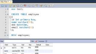 SQL Tutorial - 9 Create Table Statement