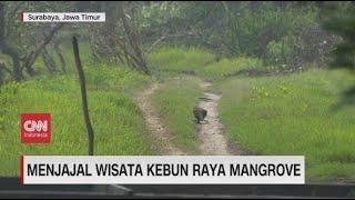 Menjajal Wisata Kebun Raya Mangrove