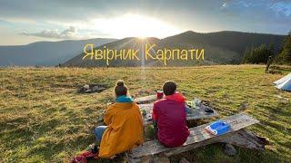 Похід Карпатами.Полонина Явірник та Горган-Явірник.Грибний сезон