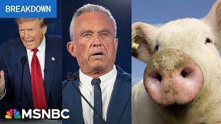 MAGA panic Dogs cats & piggie meltdown haunt Trump as GOP warns of election bloodbath