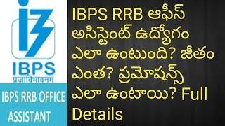 IBPS RRB Office Assistant JobWorkSalaryPramotions  RRB Office Assistant Job Profile