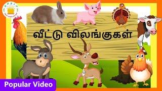 வீட்டு விலங்குகள் Veetu Vilangugal Learn Farm Animals Name in Tamil for Kids & childrenTamilarasi