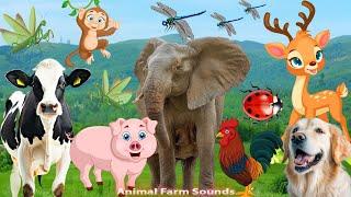 Farm Animals Animal Sounds Dog Chicken Pig Deer Elephant Ladybug Dairy Cow - Animal moments