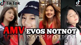 EVOS NOTNOT -  PMV  QUEEN TIK TOK  STORY WAIG 2020