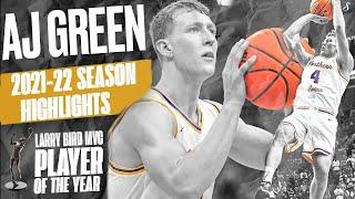 2x Larry Bird MVC POY AJ Green Is A Flamethrower 2021-22 Season Highlights