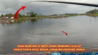 SPOT VIRAL‼️MANCING IKAN NILA DI RAWA CILACAP