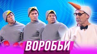 Воробьи — Уральские Пельмени  Гиря от ума