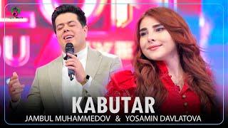 Yosamin Davlatova & Jambul Muhammedov - Kabutar Uzbekistan Salom Show 2024