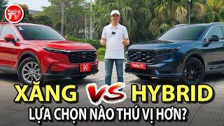 So sánh bản xăng và hybrid của Honda CR-V mới 2024 - Lựa chọn nào thú vị hơn?  TIPCAR TV