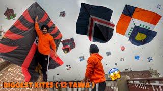 Flying Kites On Sunday  *12 TAWA* Patangbazi  Kite Vlog