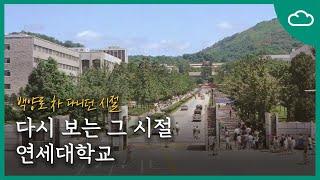 다시 보는 그 시절 연세대학교 feat.백양로 차다니던 시절