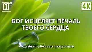 Исцеление ️‍🩹 сердца через принятие Слова  Звук дождя и пение птиц  Смотри тайм-коды  Relaxing