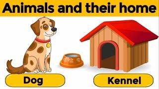 Animals and their homes  Animals home  Home of animals  Animal homes  Animal shelter for kids