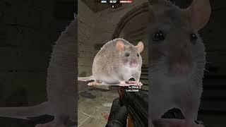 Паша ну ты... момент со стрима #shorts #garrysmod