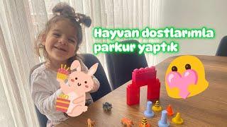 BENİM GÜZEL HAYVAN DOSTLARIM SİZİNLE OYNAMAK ÇOK EĞLENCELİ  #hayvanlar #oyun