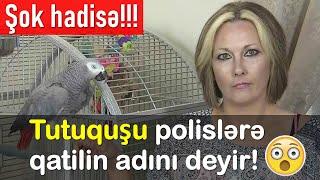 CİNAYƏT İŞİ №44  POLİSLƏR QATİLİ TUTUQUŞUNUN ŞAHİDLİYİ İLƏ TAPIRLAR