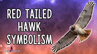 Red Tailed Hawk Symbolism