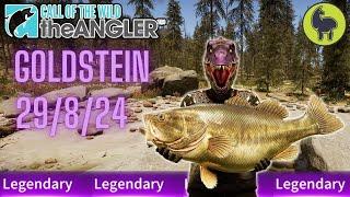 Goldstein the Legendary Fish this Week 29824  Call of the Wild The Angler