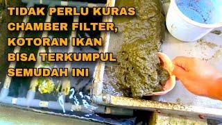 SISTEM PENYARINGAN KOTORAN IKAN DENGAN METODE SIEVE FILTER PADA BUDIDAYA IKAN NILA SISTEM RAS