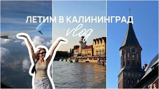 ЛЕТИМ В КАЛИНИНГРАД  VLOG  первые 2 дня путешествия