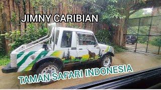 JIMNY RAJA SATWA BUAS TAMAN SAFARI INDONESIA. BTS JIMNY CHALLENGE2. LIKE COMMENT & SUBSCRIBE.