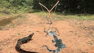 Primitive TechnologyBoy Make Best Crocodile Trap Using Slingshot_How To Make Big Crocodile Trap