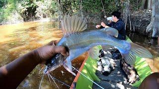 MANCING IKAN BAUNG DAN IKAN KALUIGURAME