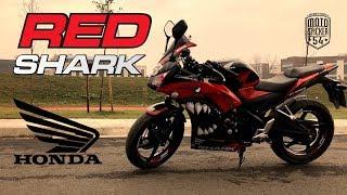 2016 Honda CBR250R Red Shark Sticker Set - Moto Sticker 54