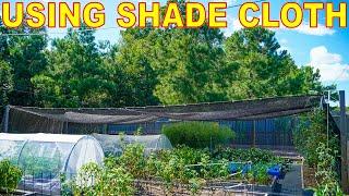 3 Ways To Use SHADE CLOTH To Protect Plants From Heat And Sun