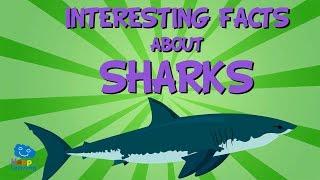 Interesting facts about Sharks  Educational Video for Kids.